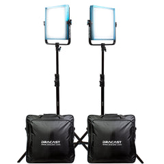 Dracast Pro Series LED1000 Daylight LED 2 Light Kit