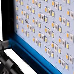 Dracast X Series LED Lighting Kit 16 (x1 DRX1000RGB, x1 DRX240RGB, x2 DRXLT400)